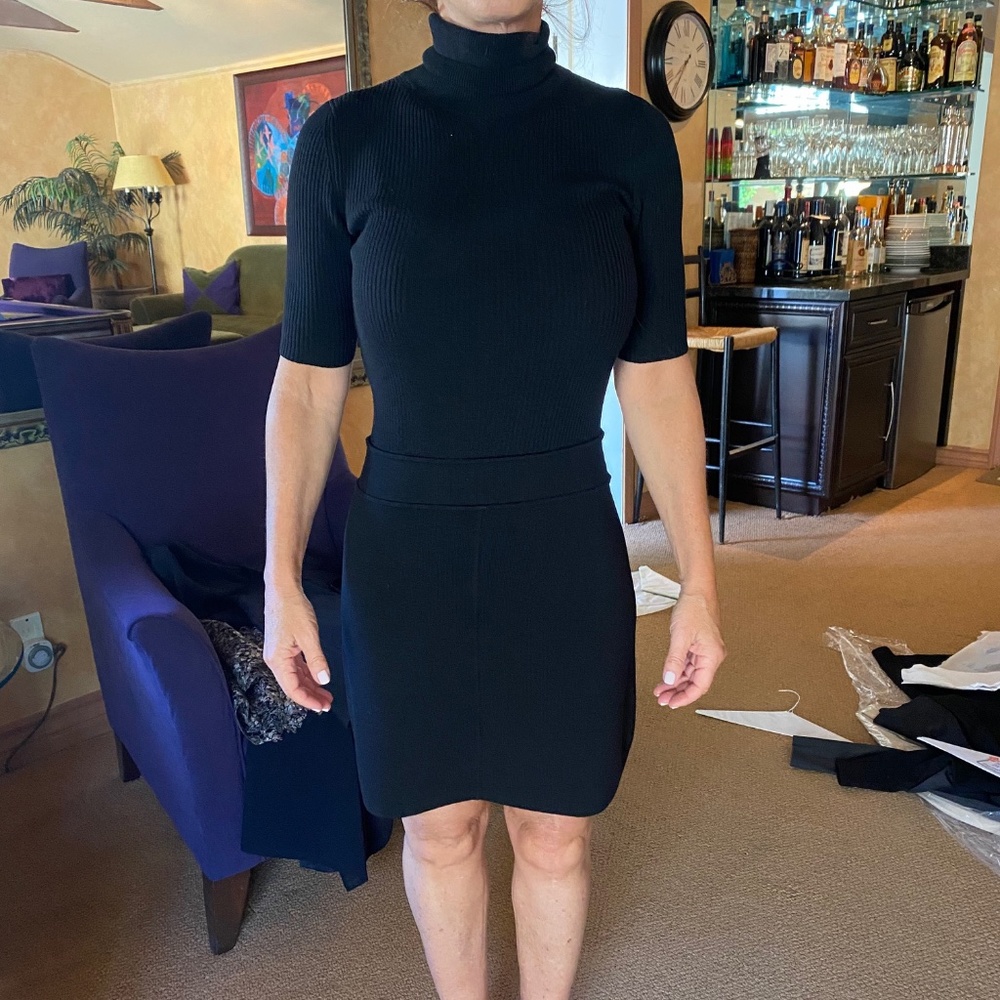 Theory Black Turtle Neck Dress Petite